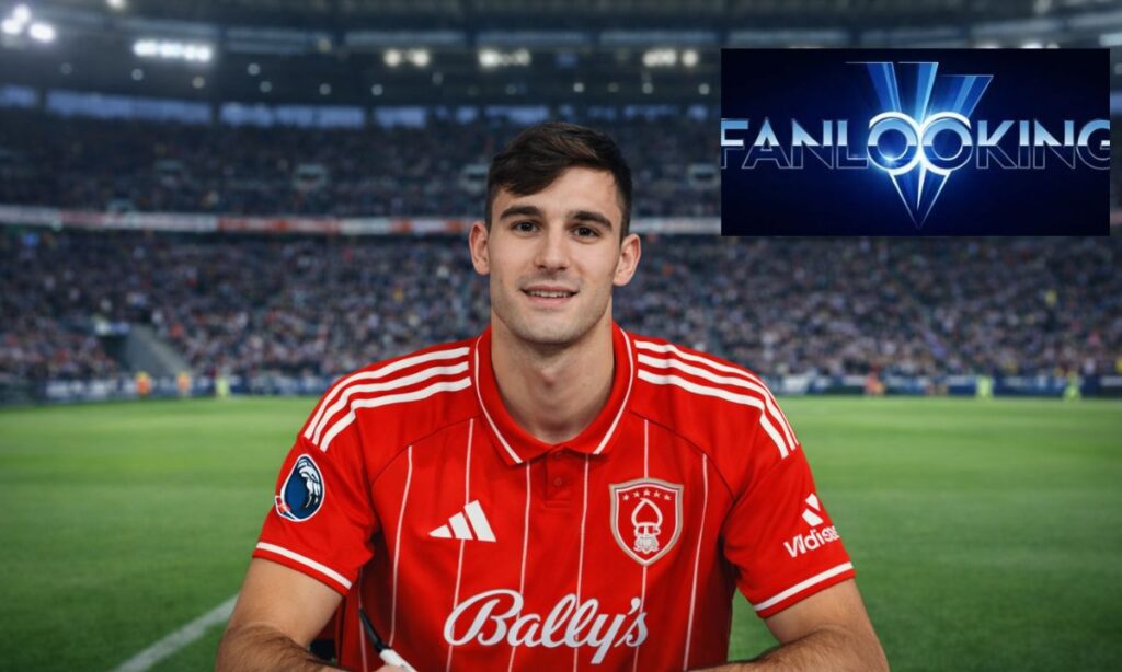 current-roles-and-professional-focus